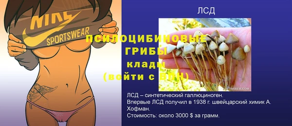 ешки Алексин