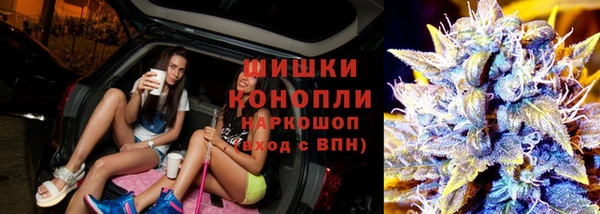 spice Алзамай
