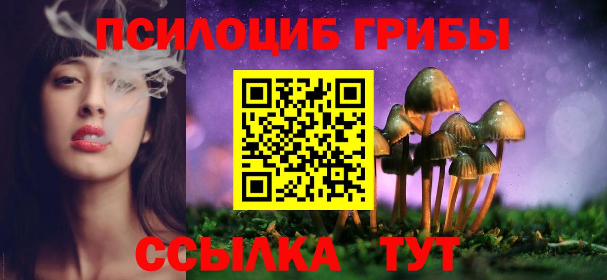 Кулебаки  Псилоцибиновые грибы MAGIC MUSHROOMS  Вход с VPN  Галлюциногенные грибы ЛСД 