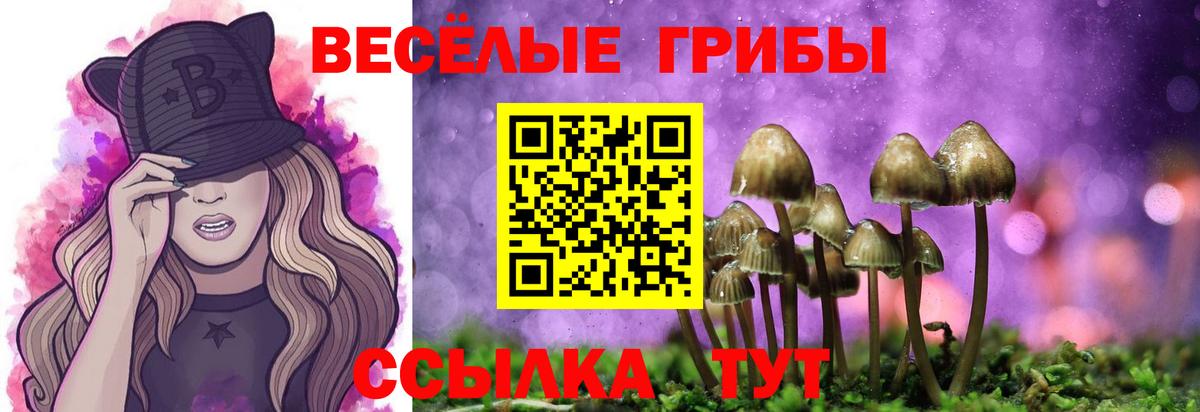 Псилоцибиновые грибы мухоморы Кулебаки
